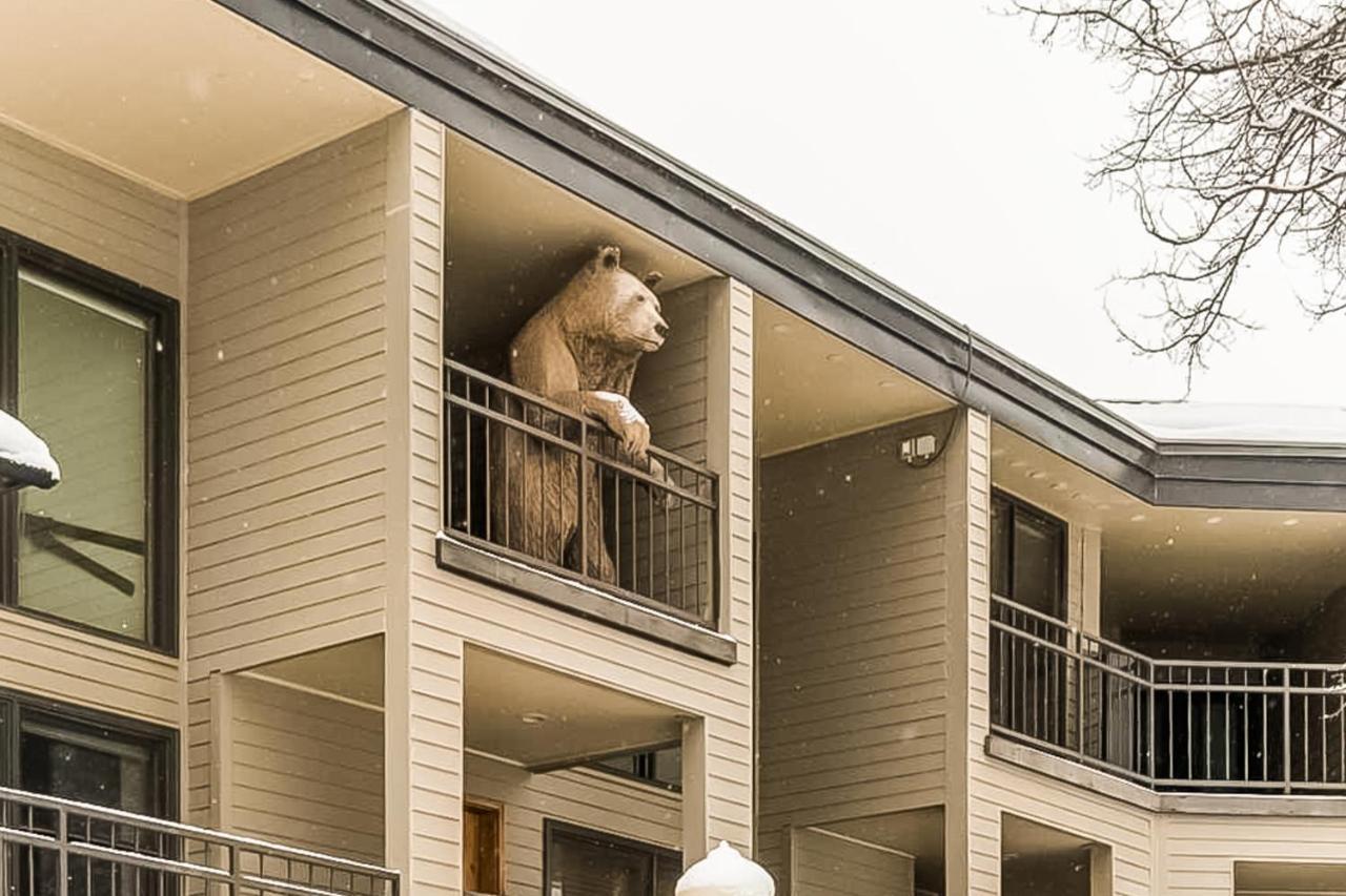 Cimarron Mountain Retreat Apartment Telluride Ngoại thất bức ảnh